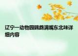 遼寧一動(dòng)物園鸚鵡滿嘴東北味詳細(xì)內(nèi)容
