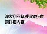 澳大利亞將對(duì)貓實(shí)行宵禁詳細(xì)內(nèi)容