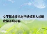 女子算命核桃樹擋姻緣家人將樹砍掉詳細內(nèi)容
