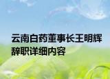 云南白藥董事長(zhǎng)王明輝辭職詳細(xì)內(nèi)容