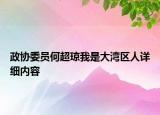 政協(xié)委員何超瓊我是大灣區(qū)人詳細(xì)內(nèi)容
