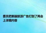 委員把新疆旅游廣告打到了兩會(huì)上詳細(xì)內(nèi)容