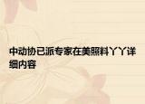 中動(dòng)協(xié)已派專家在美照料丫丫詳細(xì)內(nèi)容