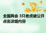 全國(guó)兩會(huì) 3只老虎被公開點(diǎn)名詳細(xì)內(nèi)容
