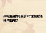 張翰主演的電視劇7年未播被法拍詳細(xì)內(nèi)容