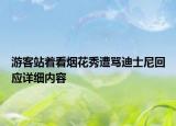 游客站著看煙花秀遭罵迪士尼回應(yīng)詳細(xì)內(nèi)容