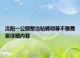 沈陽一公園整治鉆褲襠等不雅舞姿詳細(xì)內(nèi)容