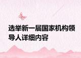 選舉新一屆國家機(jī)構(gòu)領(lǐng)導(dǎo)人詳細(xì)內(nèi)容