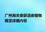 廣州海關(guān)查獲活體植物根莖詳細(xì)內(nèi)容