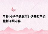 王毅:沙特伊朗北京對(duì)話是和平的勝利詳細(xì)內(nèi)容