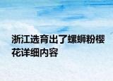 浙江選育出了螺螄粉櫻花詳細(xì)內(nèi)容