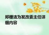 鄭柵潔為發(fā)改委主任詳細內容