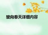 駛向春天詳細內(nèi)容