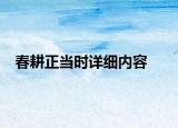 春耕正當(dāng)時(shí)詳細(xì)內(nèi)容