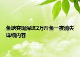 魚塘突現(xiàn)深坑2萬斤魚一夜消失詳細(xì)內(nèi)容