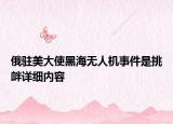 俄駐美大使黑海無人機(jī)事件是挑釁詳細(xì)內(nèi)容
