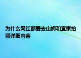 為什么網(wǎng)紅都愛去山姆和宜家拍照詳細內(nèi)容