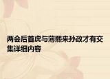 兩會后首虎與薄熙來孫政才有交集詳細內容