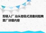 剪鏈入廠 汕頭地毯式清查問(wèn)題腌菜廠詳細(xì)內(nèi)容