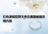 紅色通緝犯郭文貴在美國被捕詳細內(nèi)容
