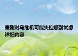 秦剛對烏危機可能失控感到憂慮詳細(xì)內(nèi)容