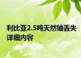 利比亞2.5噸天然鈾丟失詳細內(nèi)容