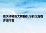 重慶動(dòng)物園大熊貓反向參觀游客詳細(xì)內(nèi)容