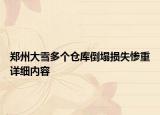 鄭州大雪多個(gè)倉庫倒塌損失慘重詳細(xì)內(nèi)容