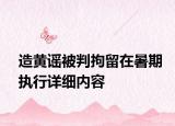 造黃謠被判拘留在暑期執(zhí)行詳細(xì)內(nèi)容