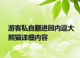 游客私自翻進(jìn)園內(nèi)逗大熊貓詳細(xì)內(nèi)容