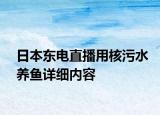 日本東電直播用核污水養(yǎng)魚詳細內(nèi)容