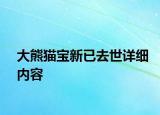 大熊貓寶新已去世詳細(xì)內(nèi)容