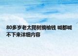 80多歲老太爬樹摘榆錢 喊都喊不下來詳細內(nèi)容