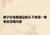 男子在電競酒店枕頭下發(fā)現(xiàn)一窩老鼠詳細內(nèi)容