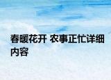 春暖花開 農(nóng)事正忙詳細內(nèi)容