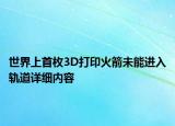 世界上首枚3D打印火箭未能進入軌道詳細內(nèi)容