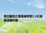 昔日黑龍江首富被懸賞1.1億追債詳細(xì)內(nèi)容