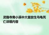 靈隱寺旁小溪中大量放生烏龜死亡詳細內(nèi)容