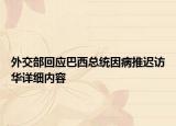 外交部回應(yīng)巴西總統(tǒng)因病推遲訪華詳細內(nèi)容