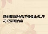 爬樹看演唱會致手臂骨折:省1千花1萬詳細內容