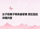 女子給猴子喂食被掌摑 景區(qū)回應(yīng)詳細(xì)內(nèi)容