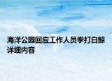 海洋公園回應工作人員拳打白鯨詳細內容