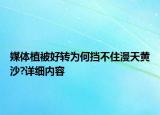 媒體植被好轉(zhuǎn)為何擋不住漫天黃沙?詳細內(nèi)容