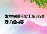 張?zhí)m被曝虧欠工資近90萬詳細(xì)內(nèi)容
