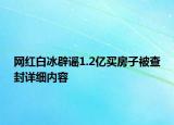 網(wǎng)紅白冰辟謠1.2億買房子被查封詳細內(nèi)容