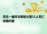 河北一廢棄冷庫起火致11人死亡詳細(xì)內(nèi)容