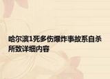 哈爾濱1死多傷爆炸事故系自殺所致詳細內(nèi)容