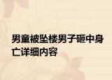 男童被墜樓男子砸中身亡詳細內(nèi)容