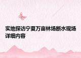 實地探訪寧夏萬畝林場斷水現(xiàn)場詳細內(nèi)容