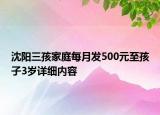 沈陽三孩家庭每月發(fā)500元至孩子3歲詳細內(nèi)容